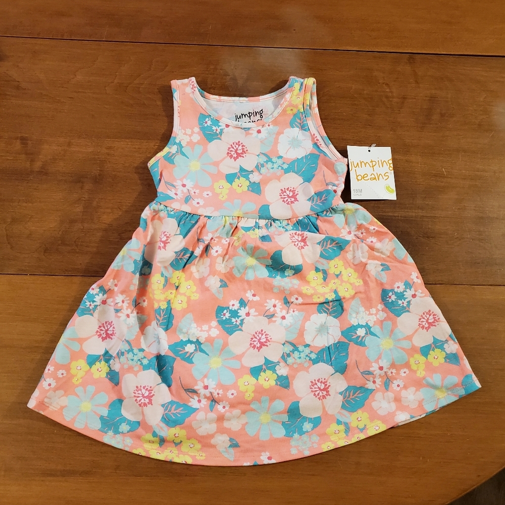 NWT Jumping Beans Floral Dress